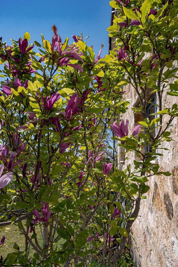 Villa Manolia Preveza Eksteriør bilde